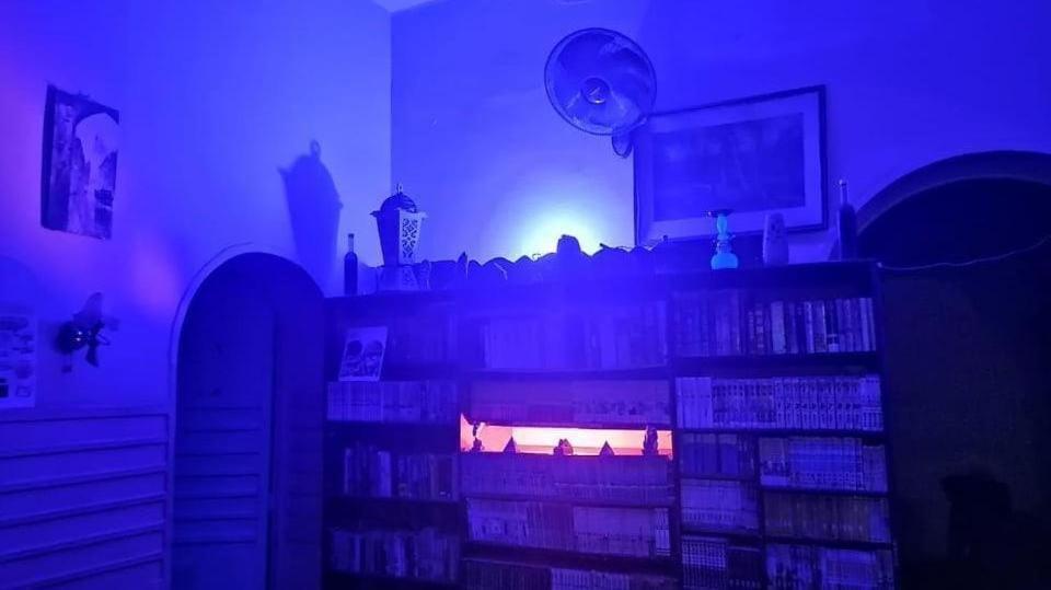 New Safari Hostel Каир Экстерьер фото